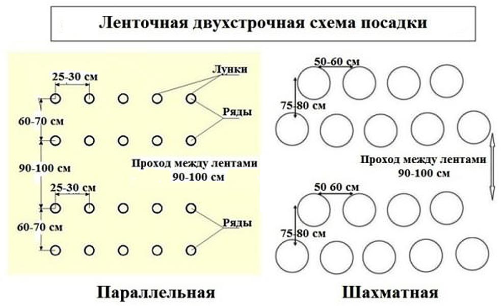 Различные схемы посадки помидор