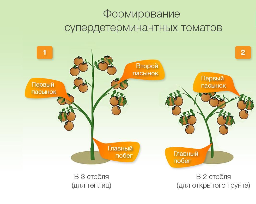 Формирование в 2 ствола