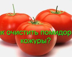 Как легко и быстро очистить помидоры от кожуры: 4 способа. Надо ли очищать помидоры от кожицы при употреблении в пищу, вредно или полезно есть помидоры с кожурой?