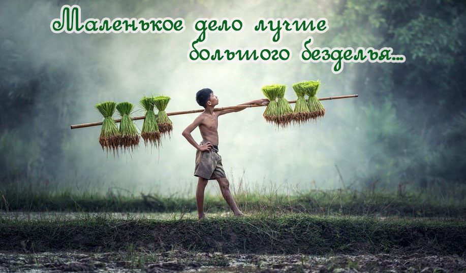 Труд лучше лени