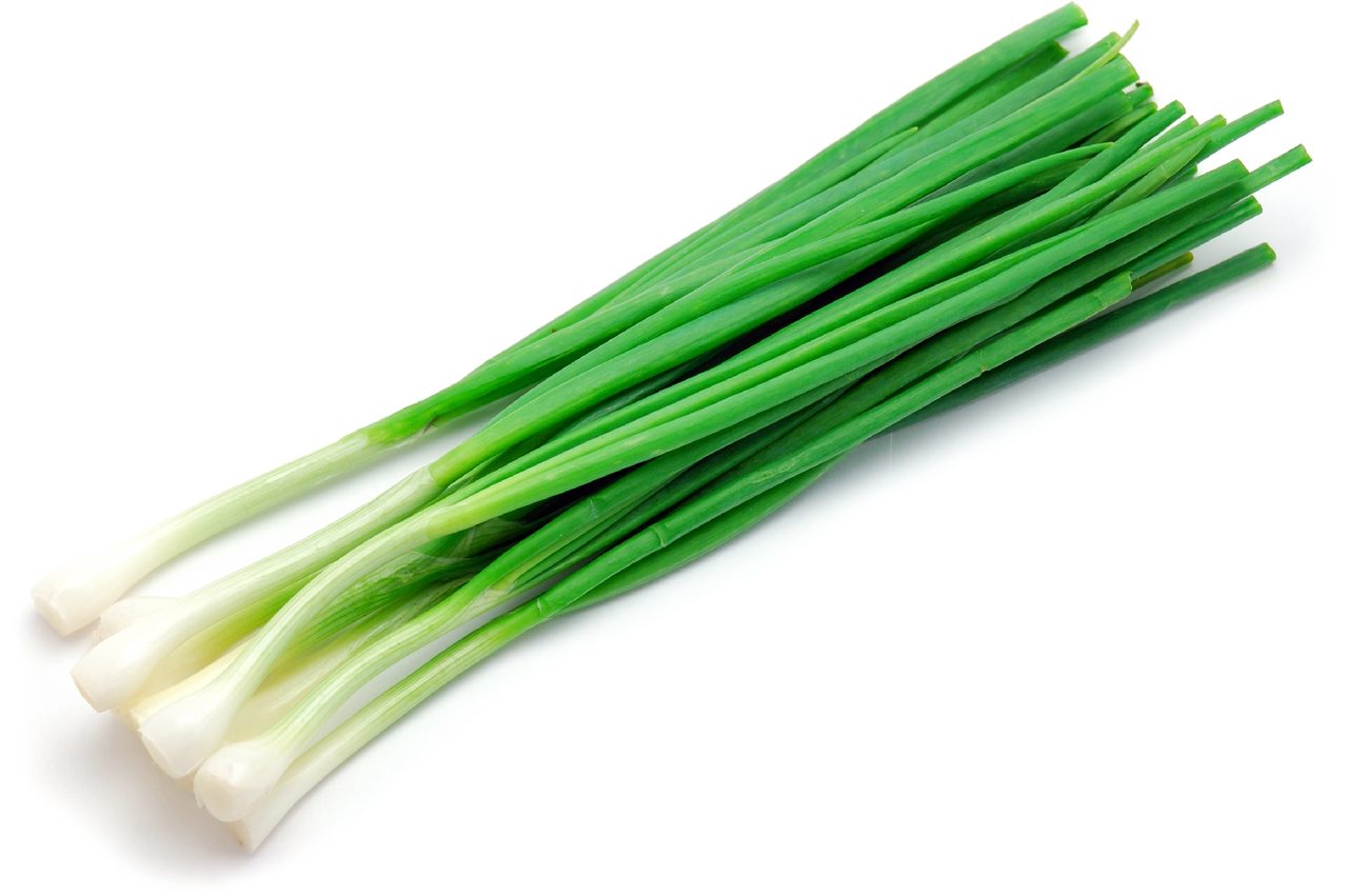 Лук латук