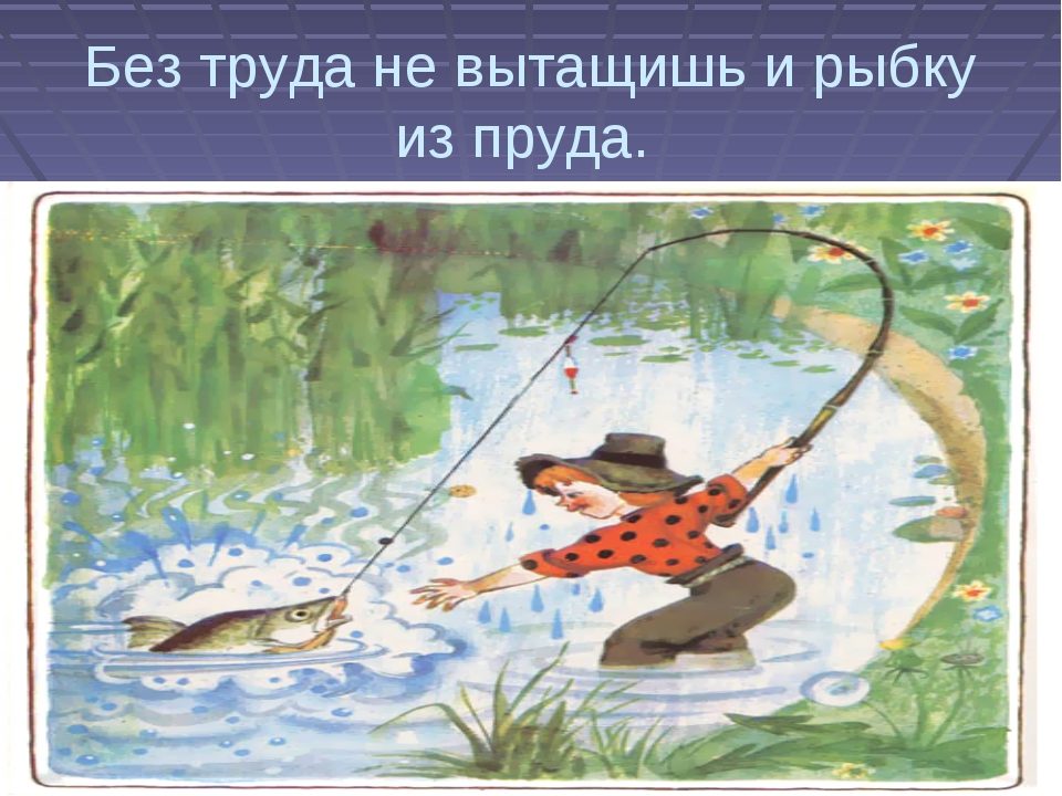 Значение пословицы