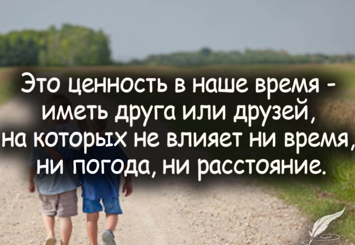 Дружба на расстоянии: высказывание № 1