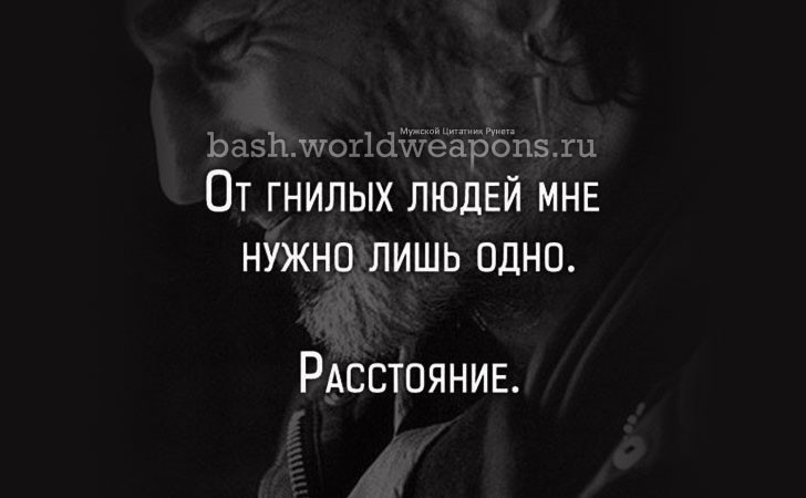 Дружба на расстоянии: высказывание № 3