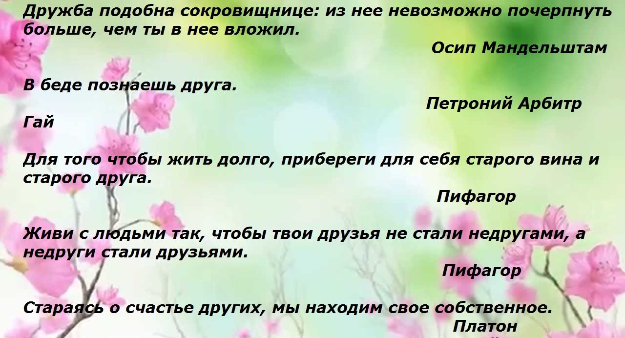 Слова известных людей о дружбе: вариант № 3