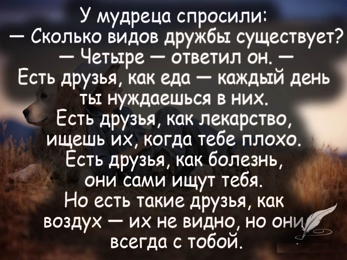 Высказывания о дружбе и отношениях между любви № 5
