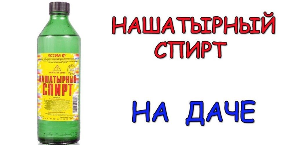 Нашатырный спирт для подкормки помидор