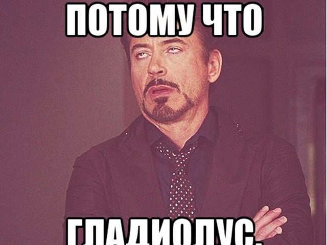 «ПОТОМУ ЧТО ГЛАДИОЛУС»: откуда пошла эта фраза? Почему говорят — «ПОТОМУ ЧТО ГЛАДИОЛУС»: что это значит?