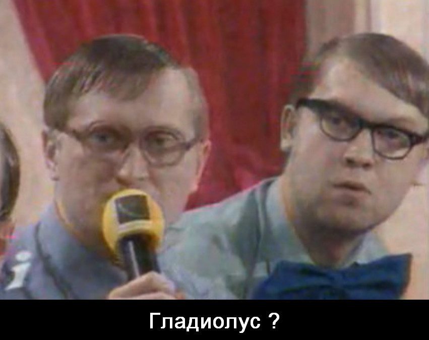 Фото игроков команды квн, которые произнесли фразу "потому что гладиолус"
