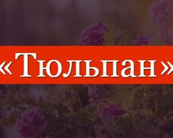 Фонетический, звуко-буквенный, морфологический разбор слова тюльпан: описание