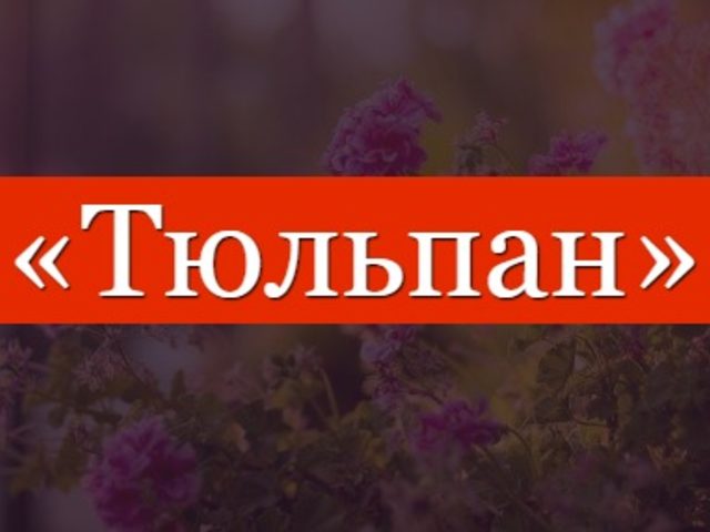 Фонетический, звуко-буквенный, морфологический разбор слова тюльпан: описание