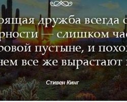 «Настоящая дружба всегда стоит благодарности — слишком часто мир подобен суровой пустыне» — кто автор этих строк, как звучит полное высказывание, цитата?