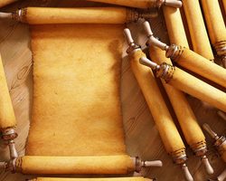 Что такое пергамент, как он выглядит: определение, фото. Понятие и значение слова пергамент: объяснение