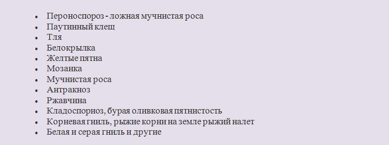 Болезни и вредители огурцов