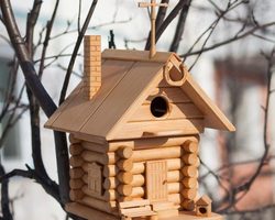 Как сделать красивый скворечник своими руками из подручных материалов для скворцов и разных видов птиц в детский сад, школу, на дачу, конкурс правильно: чертежи, размеры, шаблоны, пошаговая инструкция, фото. Из чего можно сделать скворечник для птиц?