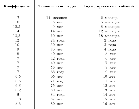 Соответствие возраста собаки человеческому