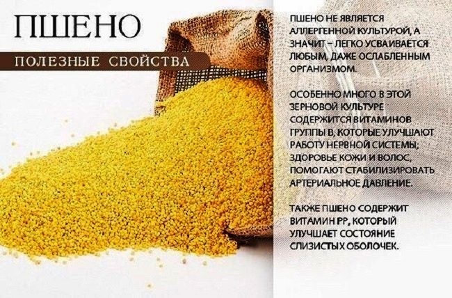 Полезные свойства пшенной крупы