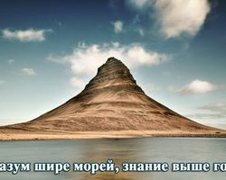 Пословицы и поговорки про ум и глупость, умных и глупых людей для детей дошкольного и школьного возраста, школы, ДОУ: сборник лучших пословиц с объяснением смысла. Какие есть и как найти пословицы и поговорки про ум и глупость, умных и глупых людей для детей?