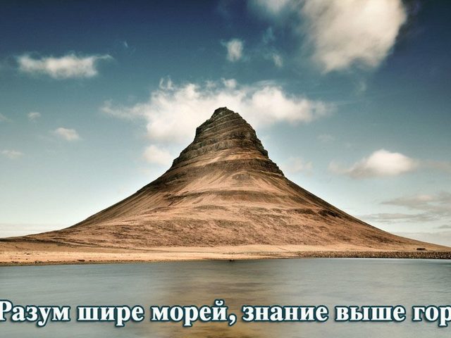 Пословицы и поговорки про ум и глупость, умных и глупых людей для детей дошкольного и школьного возраста, школы, ДОУ: сборник лучших пословиц с объяснением смысла. Какие есть и как найти пословицы и поговорки про ум и глупость, умных и глупых людей для детей?