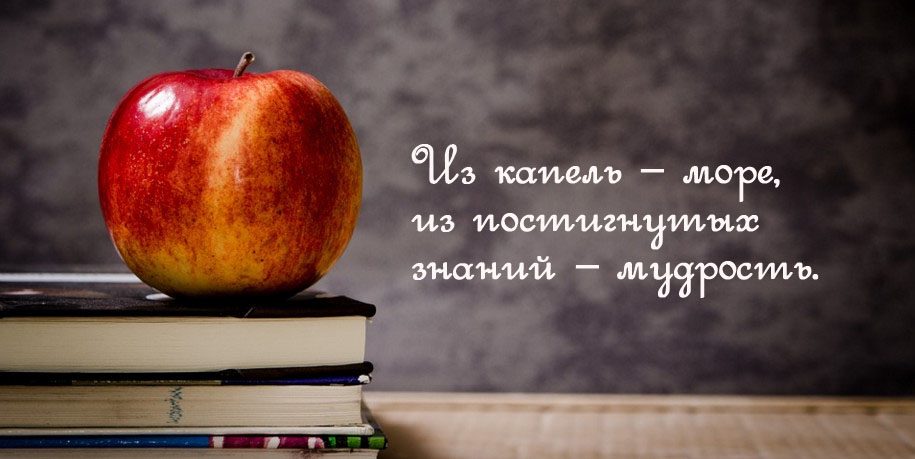 Пословицы про ум
