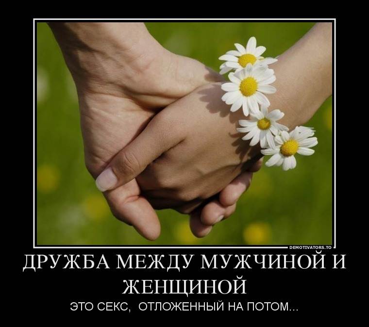 Известные высказывания