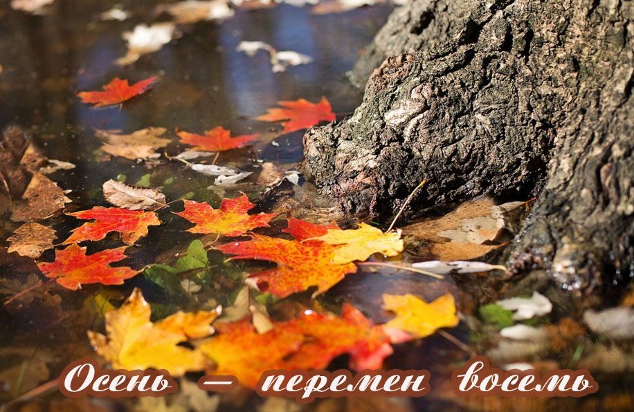 Пословицы