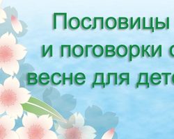 Пословицы и поговорки о весне, весенних месяцах для детей дошкольного и школьного возраста, школы, ДОУ: сборник лучших пословиц с объяснением смысла. Какие есть и как найти пословицы и поговорки о весне, весенних месяцах для детей?