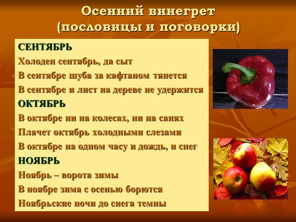 Пословицы об осени