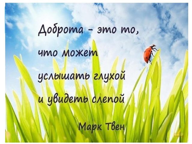 «Доброе слово и кошке приятно»: значение, смысл, происхождение пословицы. «Доброе слово и кошке приятно»: как составить на эту тему короткий рассказ?