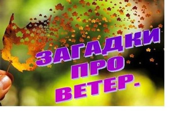 Загадка – «Листья гонит по дорожке»: как продолжить, какая отгадка?