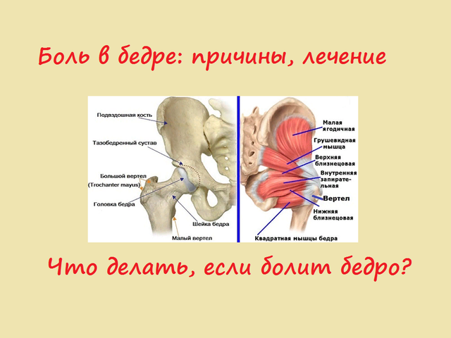 Боль в ноге от бедра и в паху: причины, лечение, какой врач лечит. Почему болит правое и левое бедро сбоку, при ходьбе, до колена и стопы?
