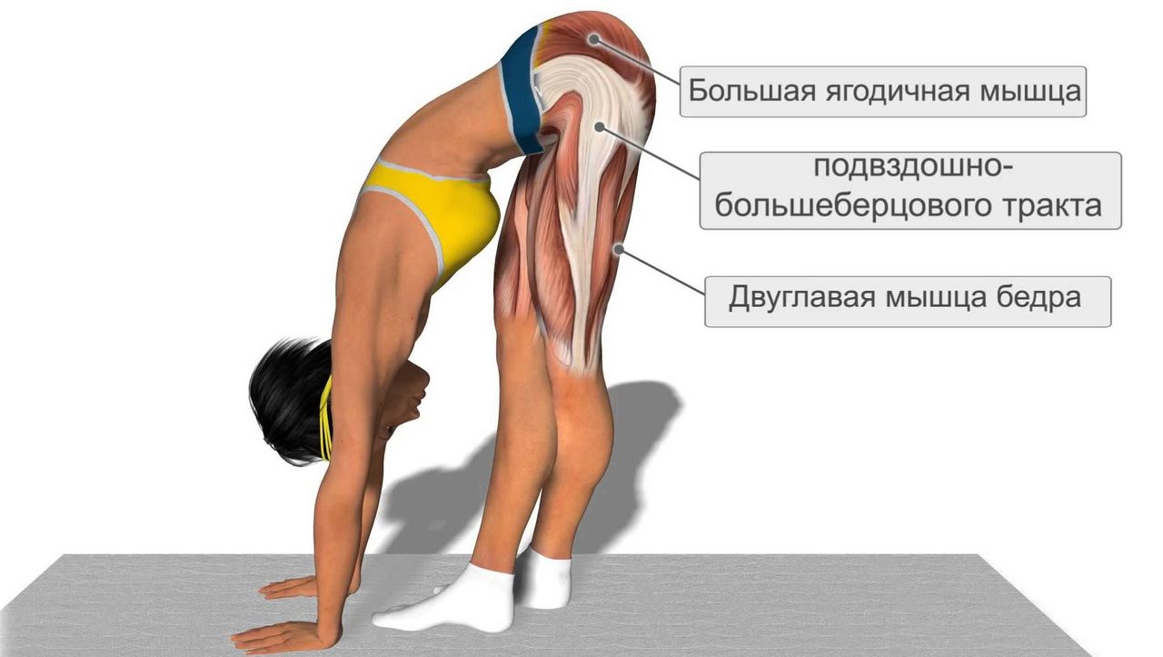 Боль в мышцах бедра
