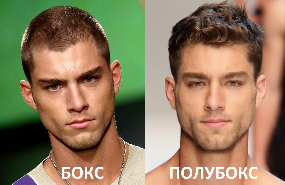 Полубокс