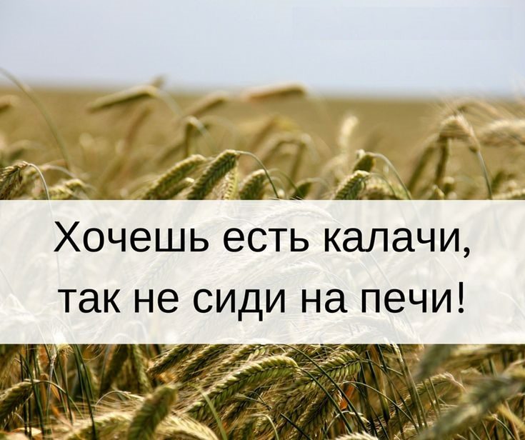 Классический вариант пословицы о печи и калачах