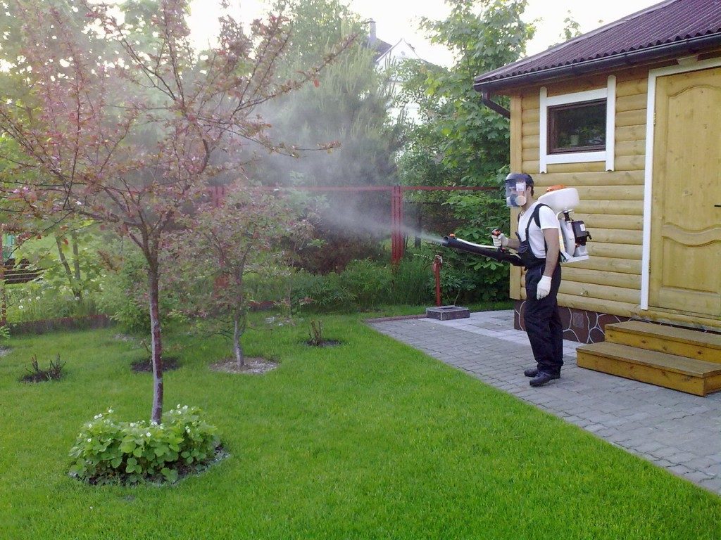 Опрыскивание плодовых деревьев