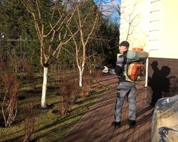 Строби фунгицид инструкция по применению для винограда и яблони и других плодовых деревьев, отзывы