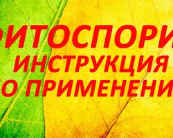 Фитоспорин М универсальный: состав, инструкция по применению для рассады, овощей, помидоров, огурцов, перца, картофеля, чеснока, клубники, крыжовника, смородины, винограда, плодовых деревьев, орхидей, фиалок, цветов, роз, петунии, отзывы, время обработки