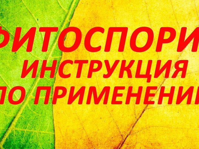 Фитоспорин М универсальный: состав, инструкция по применению для рассады, овощей, помидоров, огурцов, перца, картофеля, чеснока, клубники, крыжовника, смородины, винограда, плодовых деревьев, орхидей, фиалок, цветов, роз, петунии, отзывы, время обработки