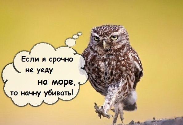 Когда очень хочется отдохнуть