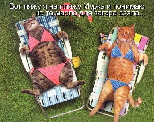 Смешные статусы про море и отдых