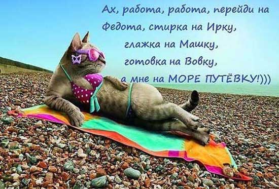 Интересные статусы про море