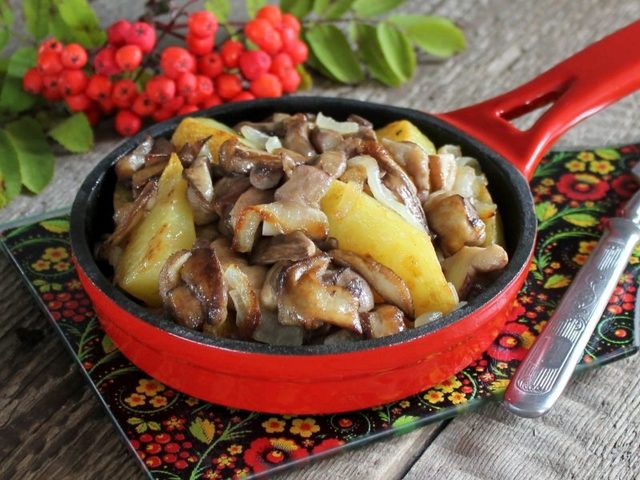 Жареные грибы маслята: лучшие рецепты с луком, картошкой, сметаной, сыром, без варки, на зиму. На каком масле жарить маслята? Как и сколько варить грибы маслята перед жаркой по времени?