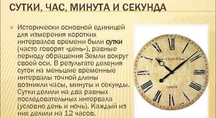 Сутки