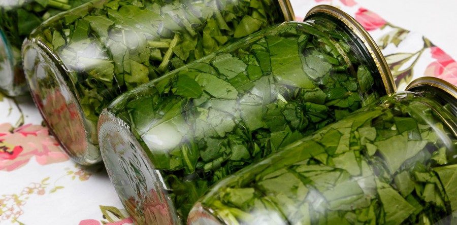 Рекомендации по маринованию базилика на зиму