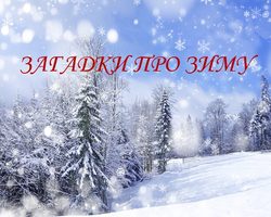 Загадки про зиму и Новый год для детей дошкольного и школьного возраста, школы, ДОУ, взрослых: сборник лучших загадок с ответами. Какие есть и как найти новогодние загадки, о зиме для детей?