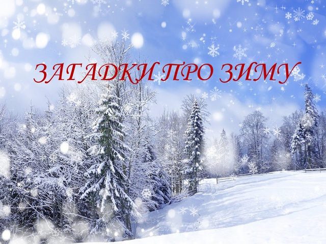 Загадки про зиму и Новый год для детей дошкольного и школьного возраста, школы, ДОУ, взрослых: сборник лучших загадок с ответами. Какие есть и как найти новогодние загадки, о зиме для детей?