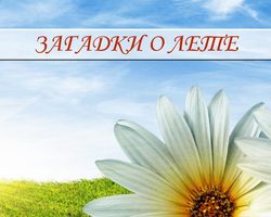 Загадки про лето для детей дошкольного и школьного возраста, школы, ДОУ, взрослых: сборник лучших загадок с ответами. Какие есть, и как найти загадки о лете для детей?
