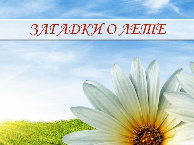 Загадки про лето для детей дошкольного и школьного возраста, школы, ДОУ, взрослых: сборник лучших загадок с ответами. Какие есть, и как найти загадки о лете для детей?