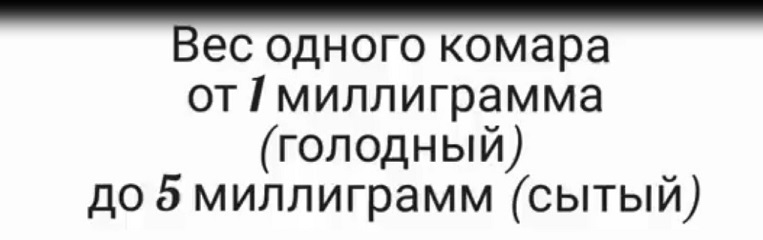 Вес комара