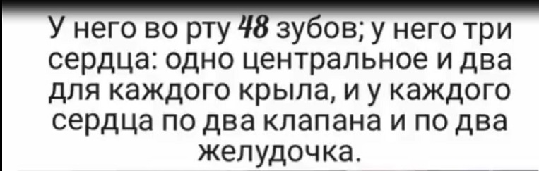 Интересные факты о комарах